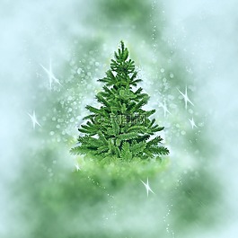 圣誕樹,雪,圣誕節(jié)