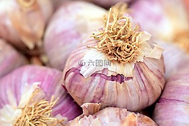 大蒜,地中海,香料
