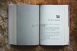 書,閱讀,白