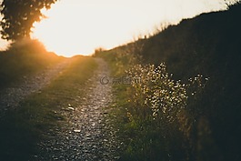 路徑,方式,行人路