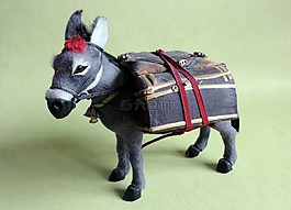 屁股,動物,土耳其