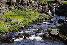 過獨(dú)身生活,水,冰島