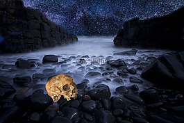 頭骨,霧,海灘