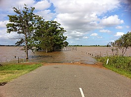 淹,災(zāi)難,水浸