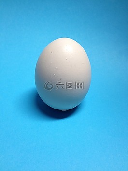 雞蛋,午餐,營(yíng)養(yǎng)