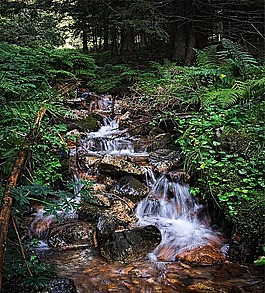 流,冬奧會(huì),水