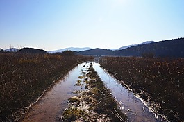 馬什,土地,濕