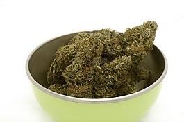 大麻,芽