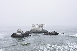 海洋,海,水