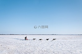 北极点,冬天,狗