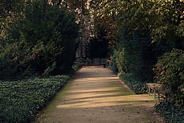 走道,公園,植被