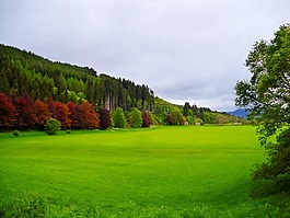 農(nóng)田凱爾德蘇格蘭,農(nóng)村,茂盛
