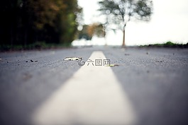 街,路,標記