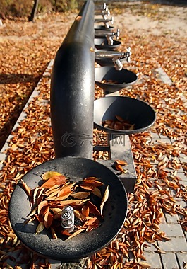 秋季,秋天的樹(shù)葉,樹(shù)葉