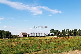 農(nóng)場,春,草原