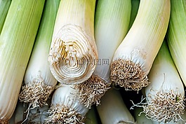 韭菜,蔬菜,原料