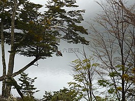 水,湖,平静