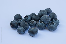 蓝莓,水果,浆果