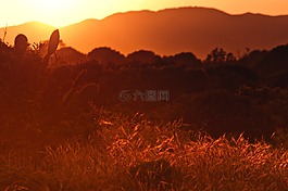 景觀,日落,日出