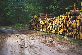 路,方式,路徑