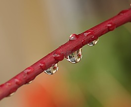 性質(zhì),水滴,拖放
