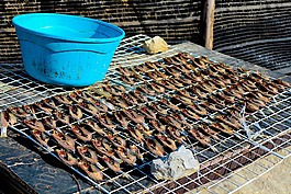 干,鱼,食品