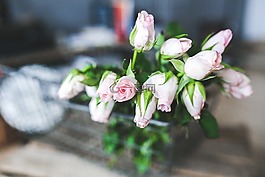玫瑰,籃,花