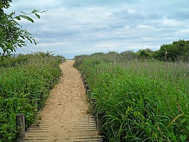 路徑,自然,戶外