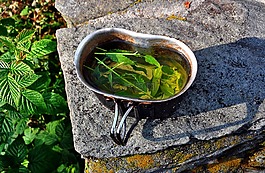 薄荷,茶,菜