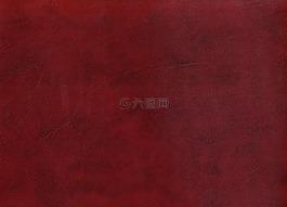 勃艮第皮革,皮肤,牛皮