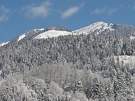 山,冬天,寒冬