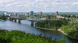 多橋,城市,樹