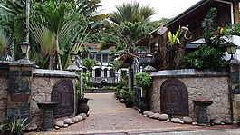 首頁,輸入,花園
