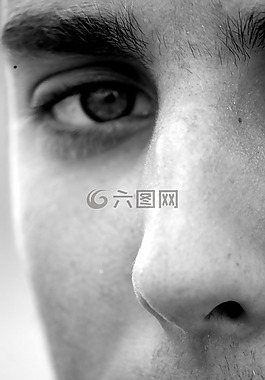 眼睛,鼻子,眉毛