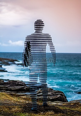 沖浪,海,海洋