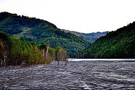 泥,沼泽,湖