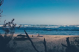 海灘,沙,水