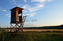 河鱸,佛瑞斯特椅子,佛瑞斯特