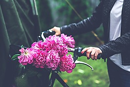 自行車,籃,花