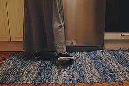 地毯,地板,鞋