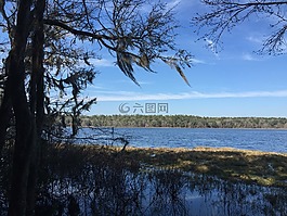 徑,公園,徒步旅行