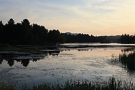 湖,日落,森林