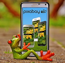 pixabay,图像数据库,照片