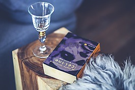 葡萄酒,glsss,書