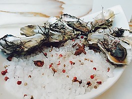 牡蠣,海鮮,貝殼