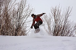 滑雪,冬天,雪