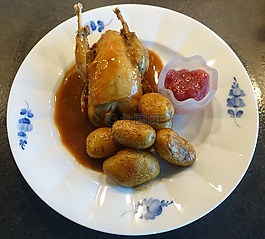 鷓鴣,游戲,鳥