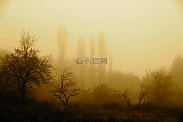霧,秋,自然