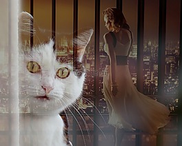 猫,丧,回忆
