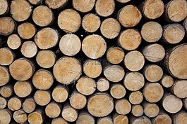 木,holzstapel,林業工人